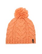 ROXY Шапка Blizzard ERJHA04325