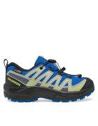 Salomon Туристически Xa Pro V8 Waterproof L47729300