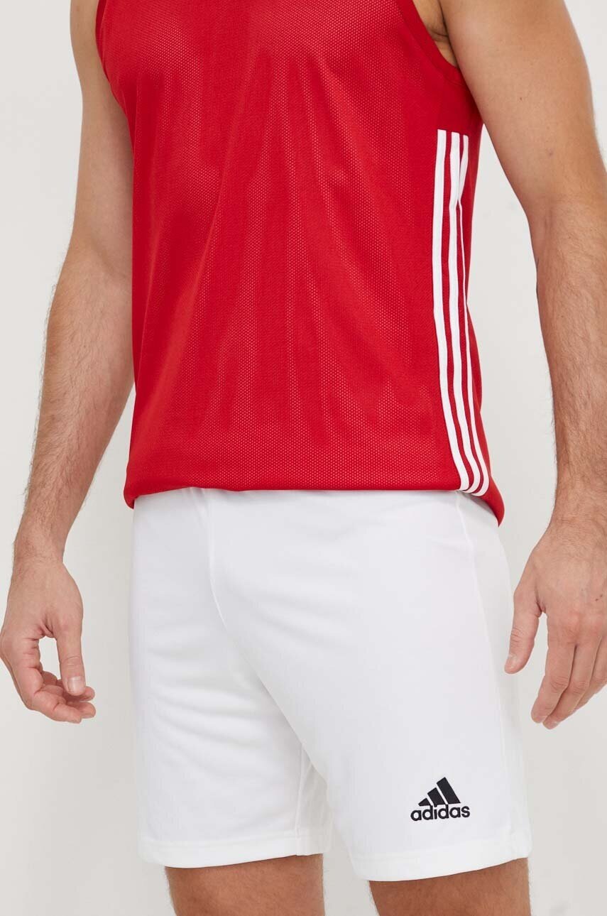 adidas Performance Къс панталон за трениране Entrada 22
