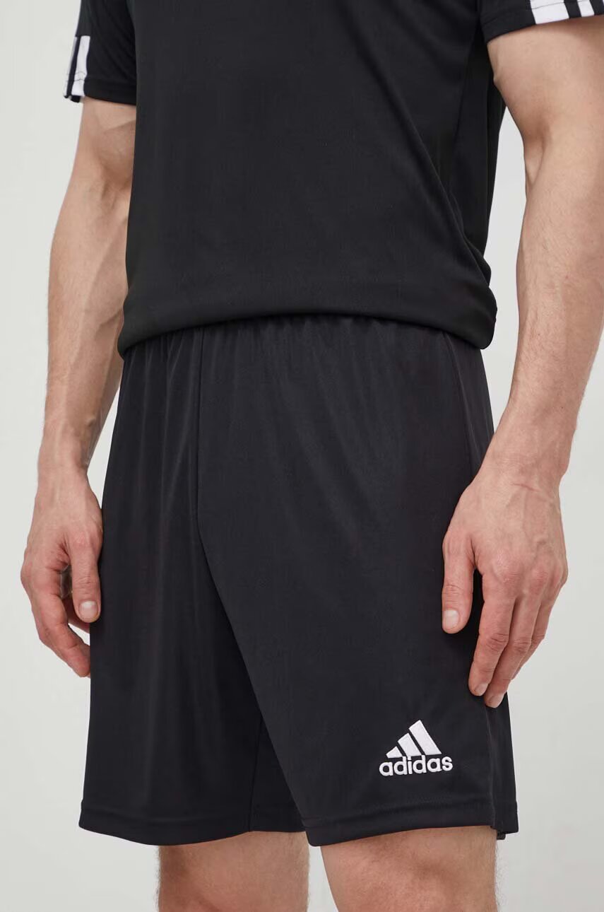adidas Performance Къс панталон за трениране Entrada 22 H57504