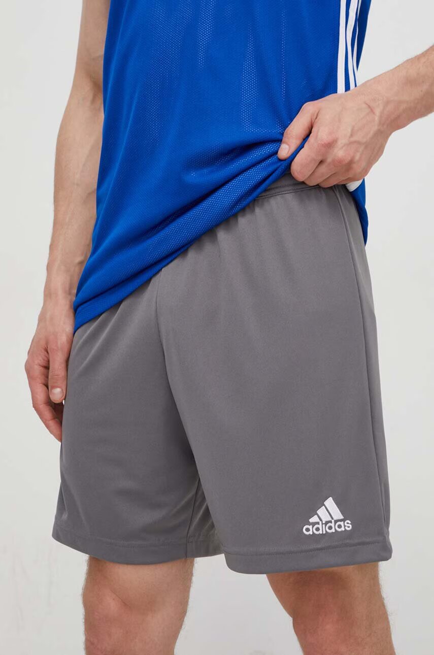 adidas Performance Къс панталон за трениране Entrada 22 H57505