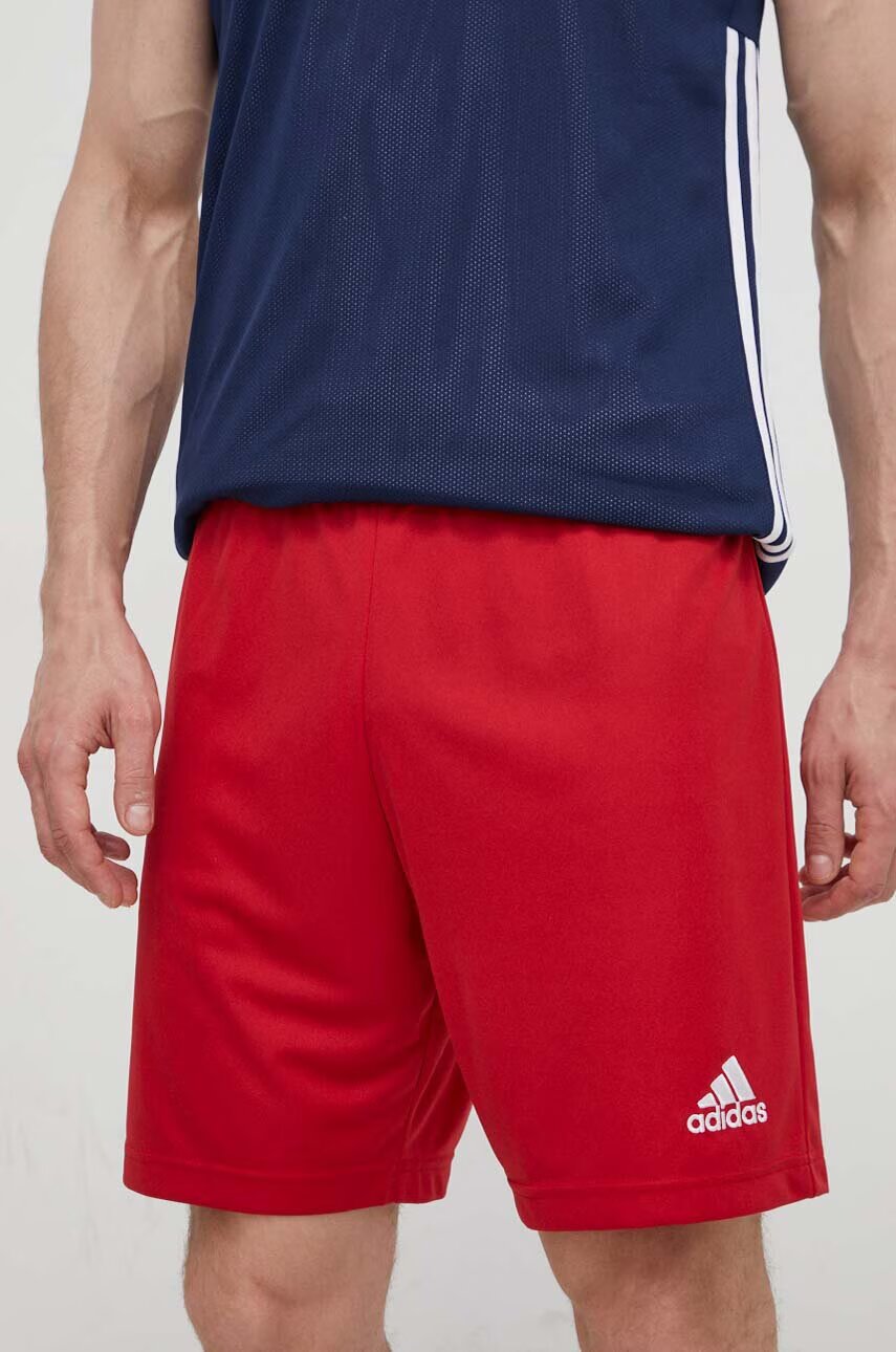adidas Performance Къс панталон за трениране Entrada 22 H61735