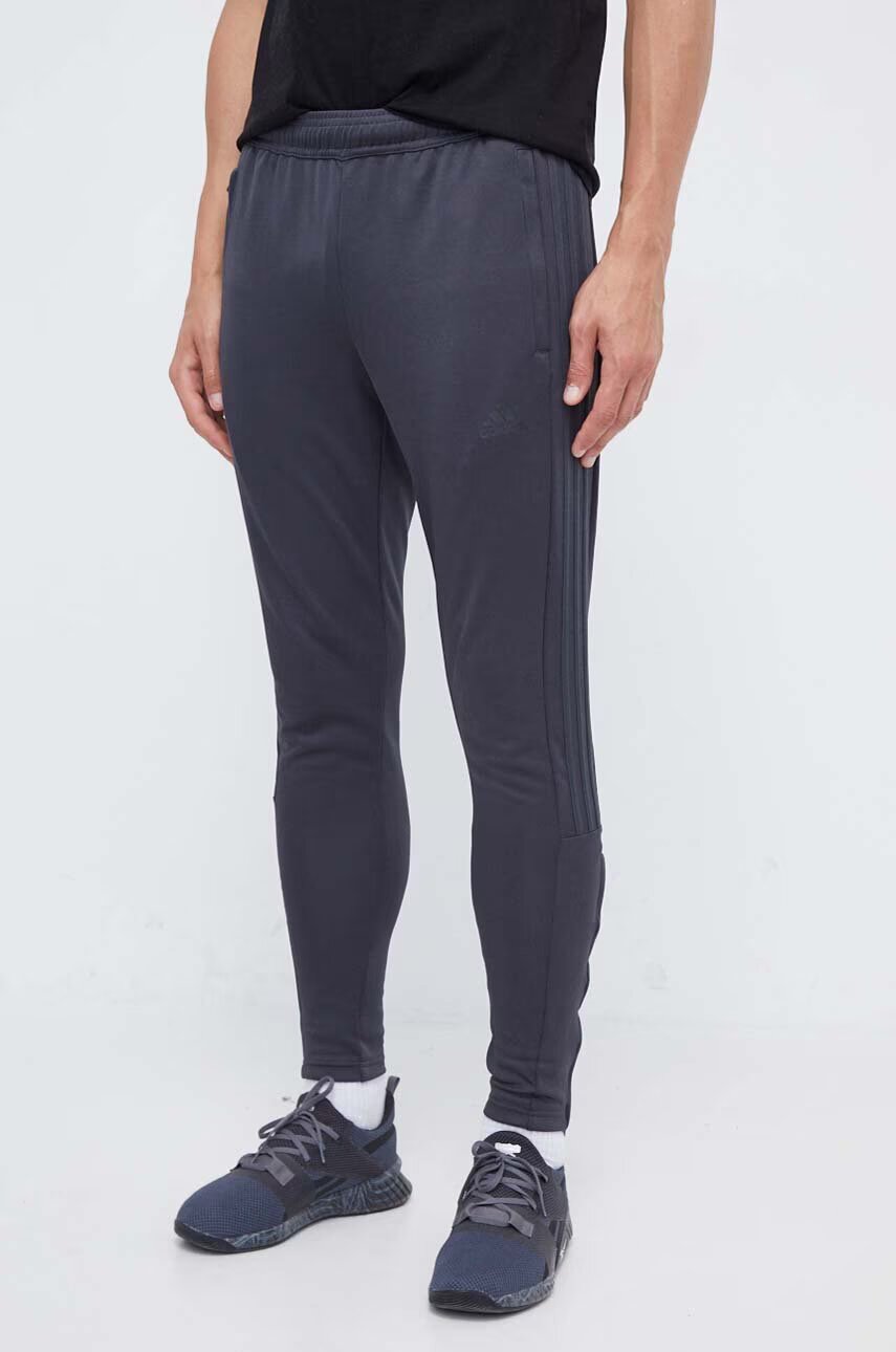 adidas Спортен панталон
