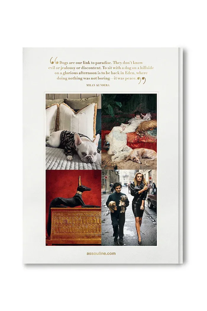 assouline Книга Chic Dogs by Robert Williams English