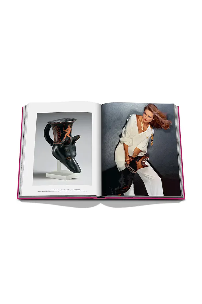 assouline Книга Chic Dogs by Robert Williams English