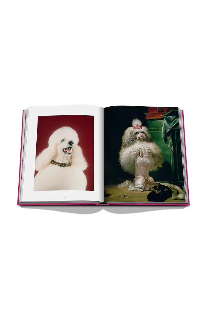 assouline Книга Chic Dogs by Robert Williams English