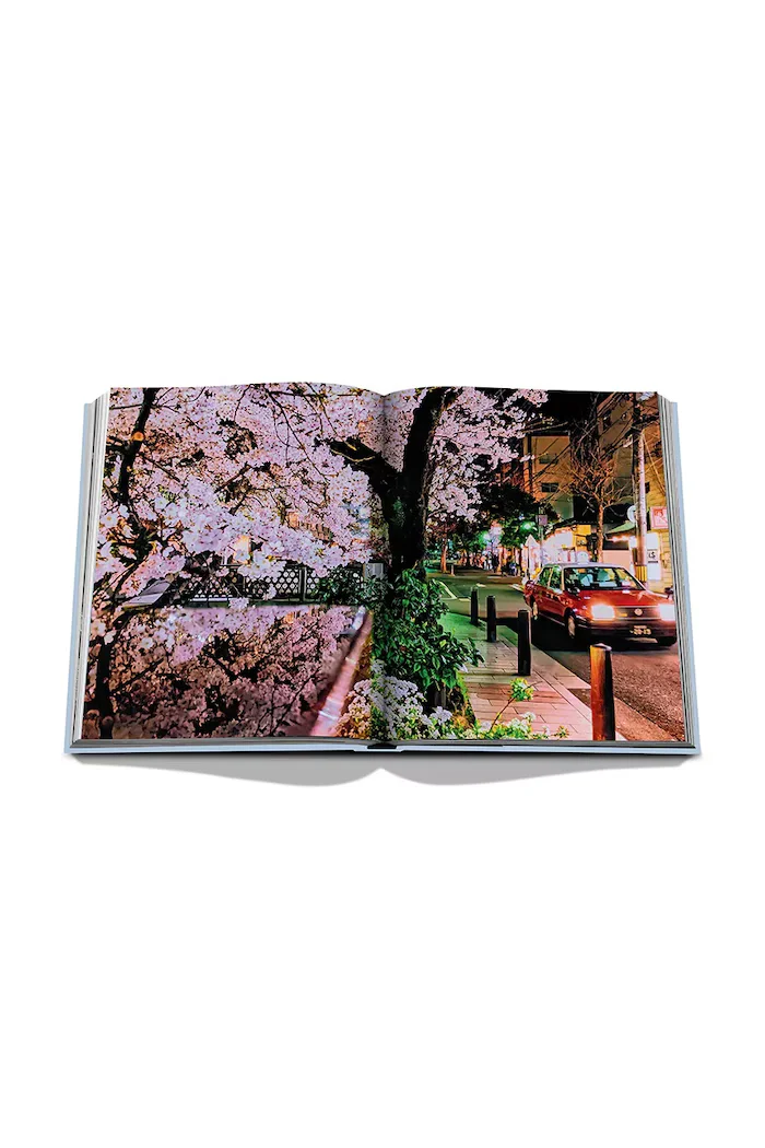 assouline Книга Kyoto Serenity by François Simon English