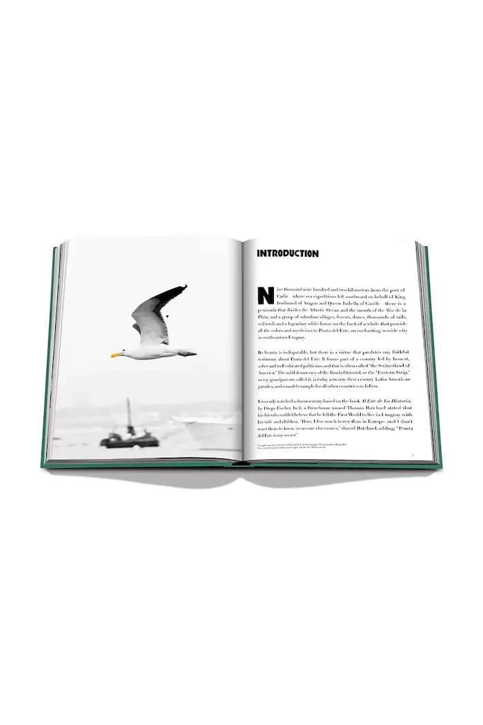 assouline Книга Punta Del Este by Bony Bullrich English