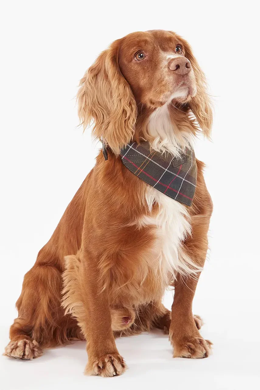 Barbour Бандана за домашен любимец Tartan Dog