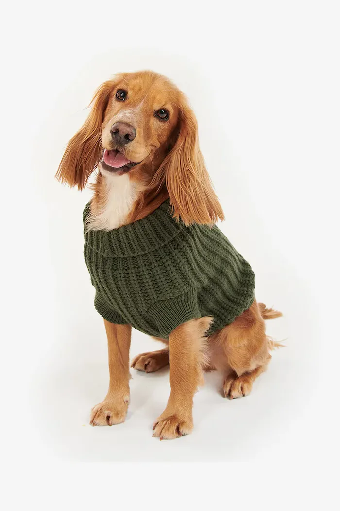 Barbour Кучешки пуловер Saltburn Dog Jumper в зелено
