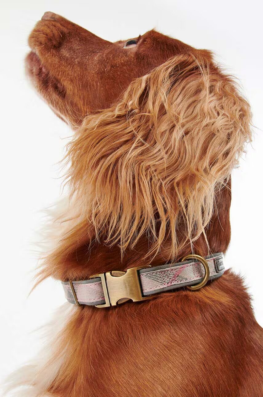 Barbour Нашийник за куче