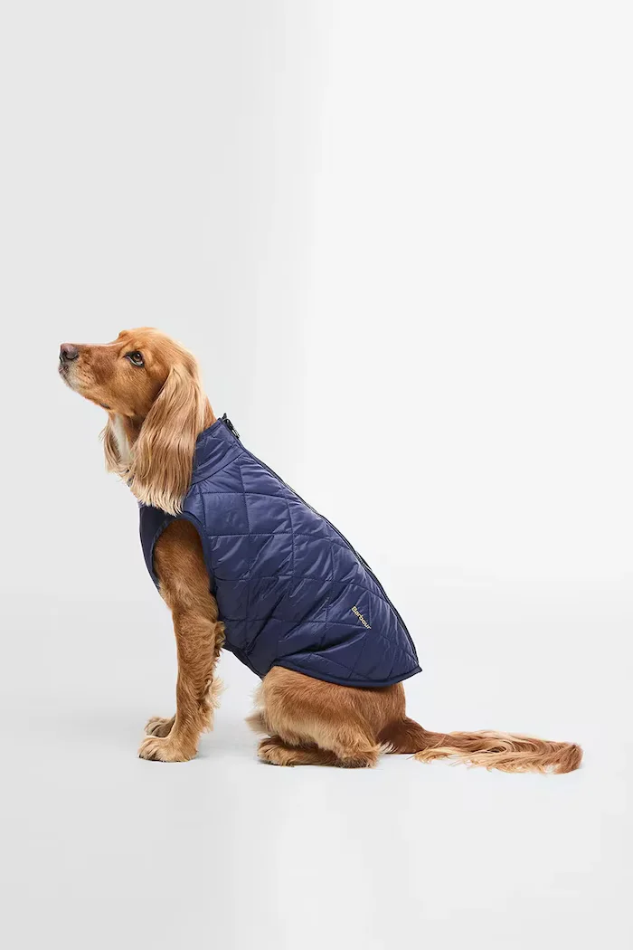 Barbour палто за куче DCO0091