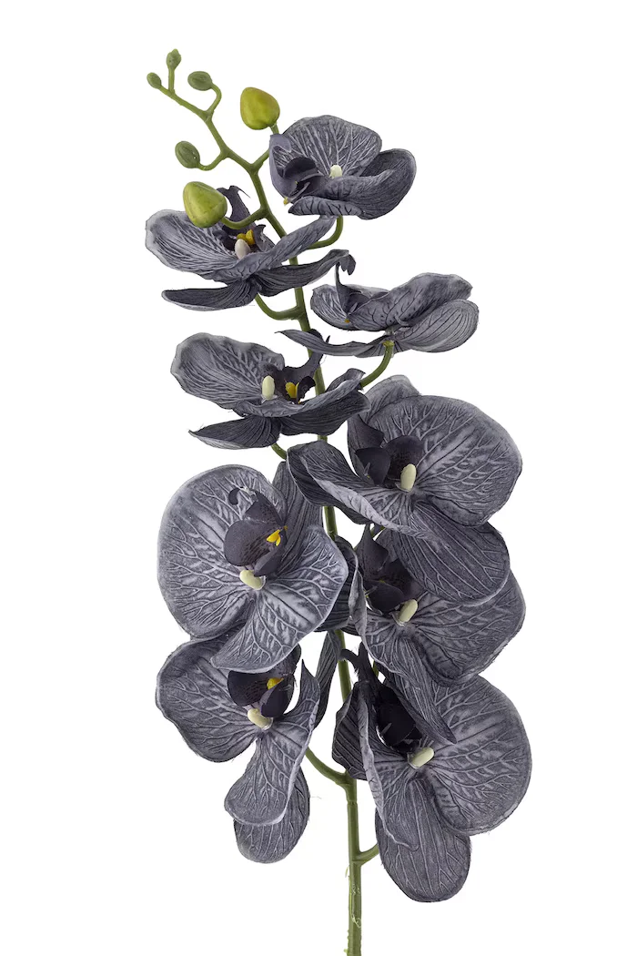 Bloomingville 105 cm