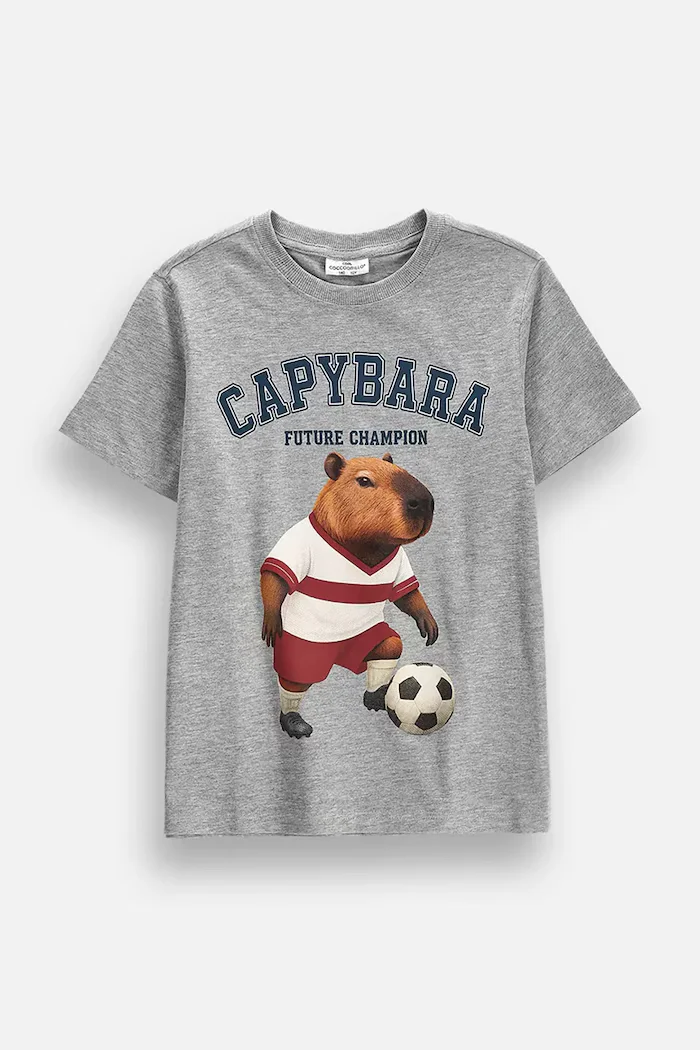 Coccodrillo тениска за деца с памук сива EVERYDAY BOY B