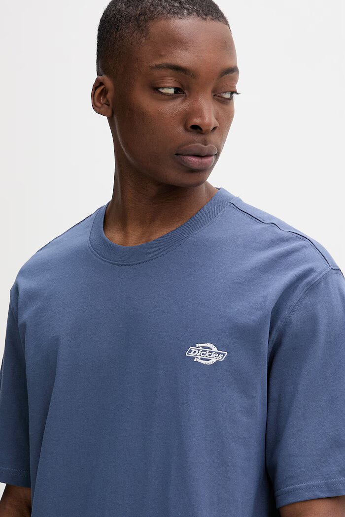 Dickies тениска basic мъжка от памук синя DK0A4YAIRI21