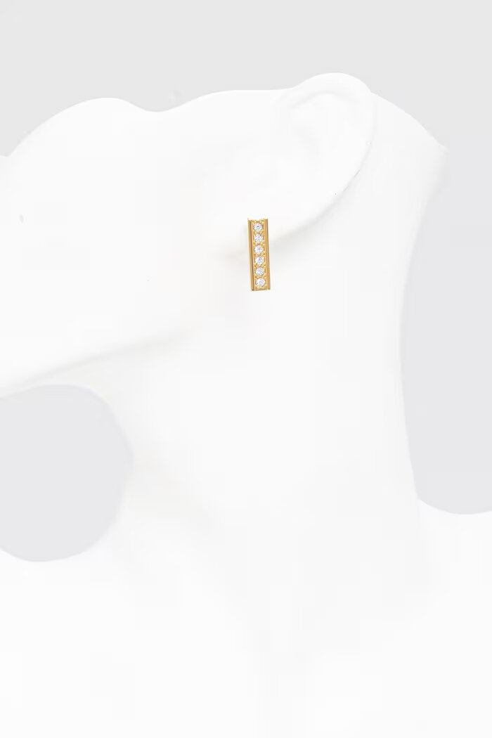 Elisabetta Franchi Обици OR26K61E2