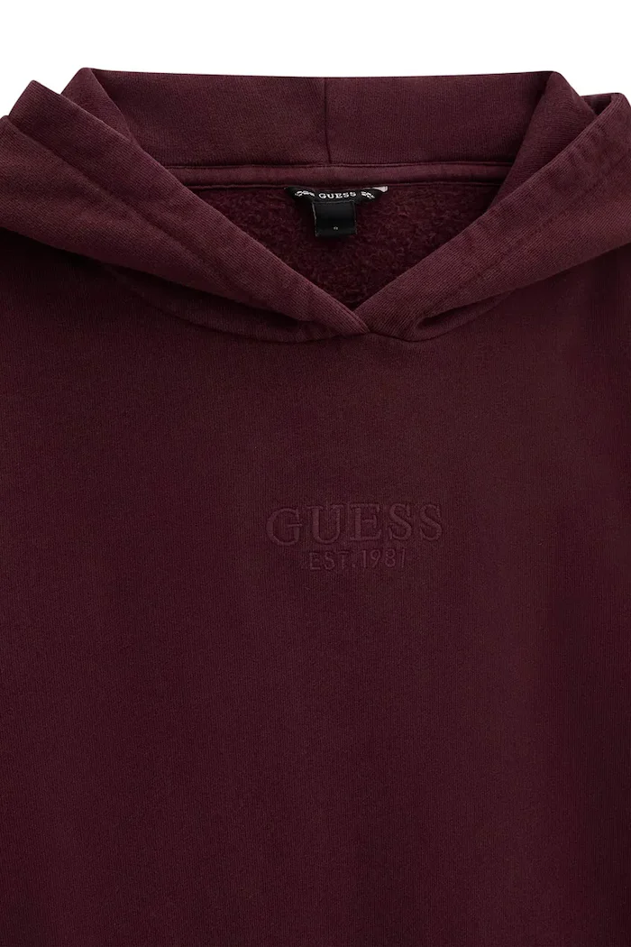 GUESS суичър с качулка за деца от памук бордо J5YQ21 KAV34