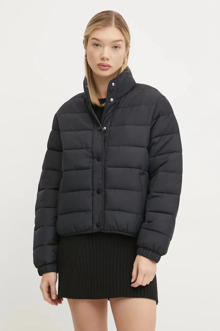 Hollister Co. Яке
