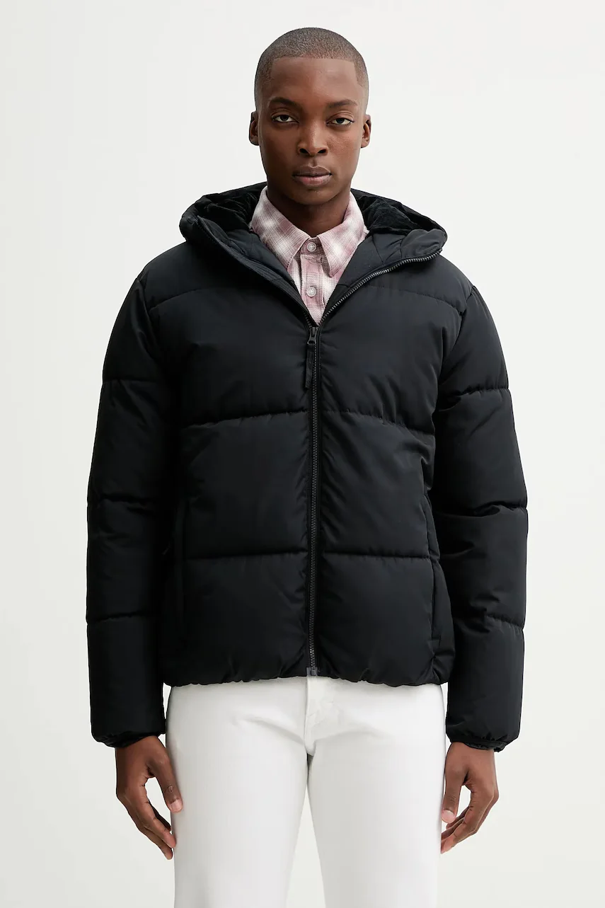 Hollister Co. Яке