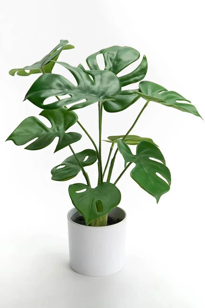 Inne Изкуствено растение в саксия home & lifestyle 10 x 39 cm в зелено 155812