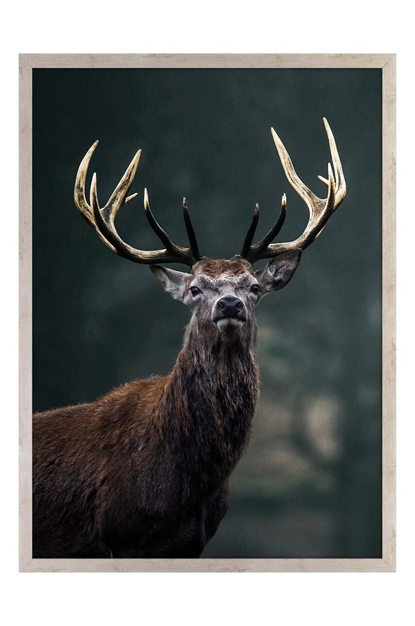 Inne Репродукция върху хартия в рамка 50x70 cm