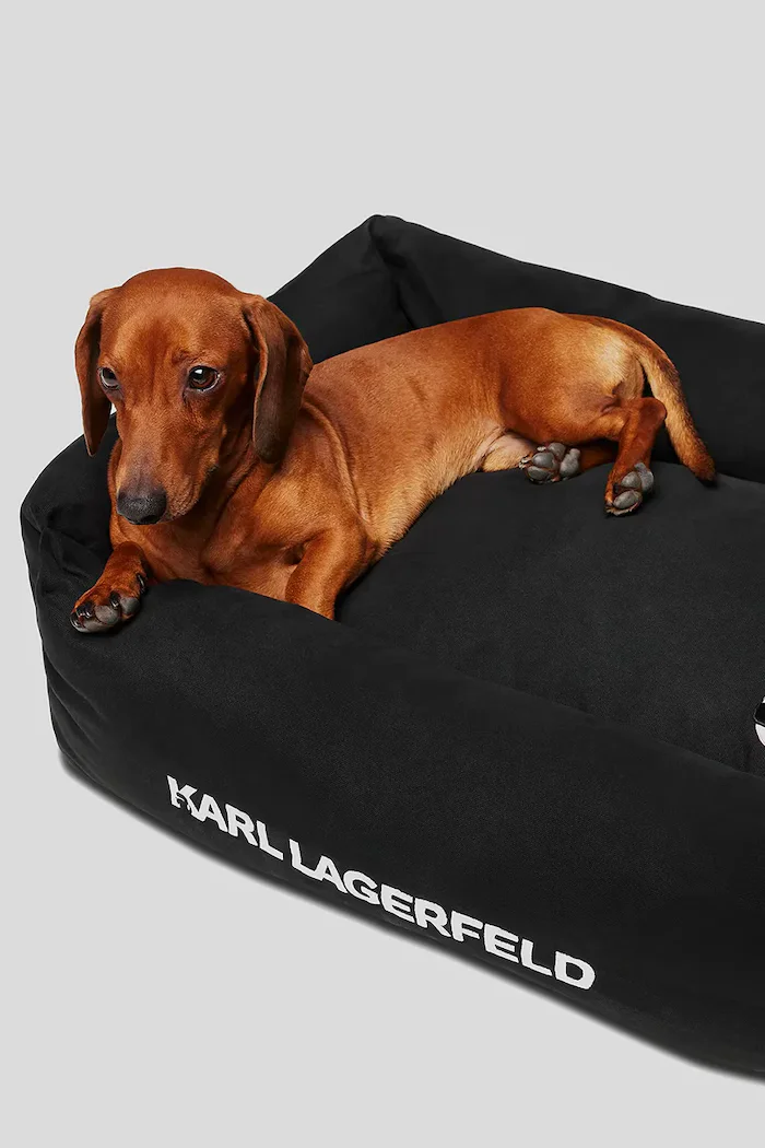 Karl Lagerfeld Легло за домашен любимец Ikon в черно A1W42043