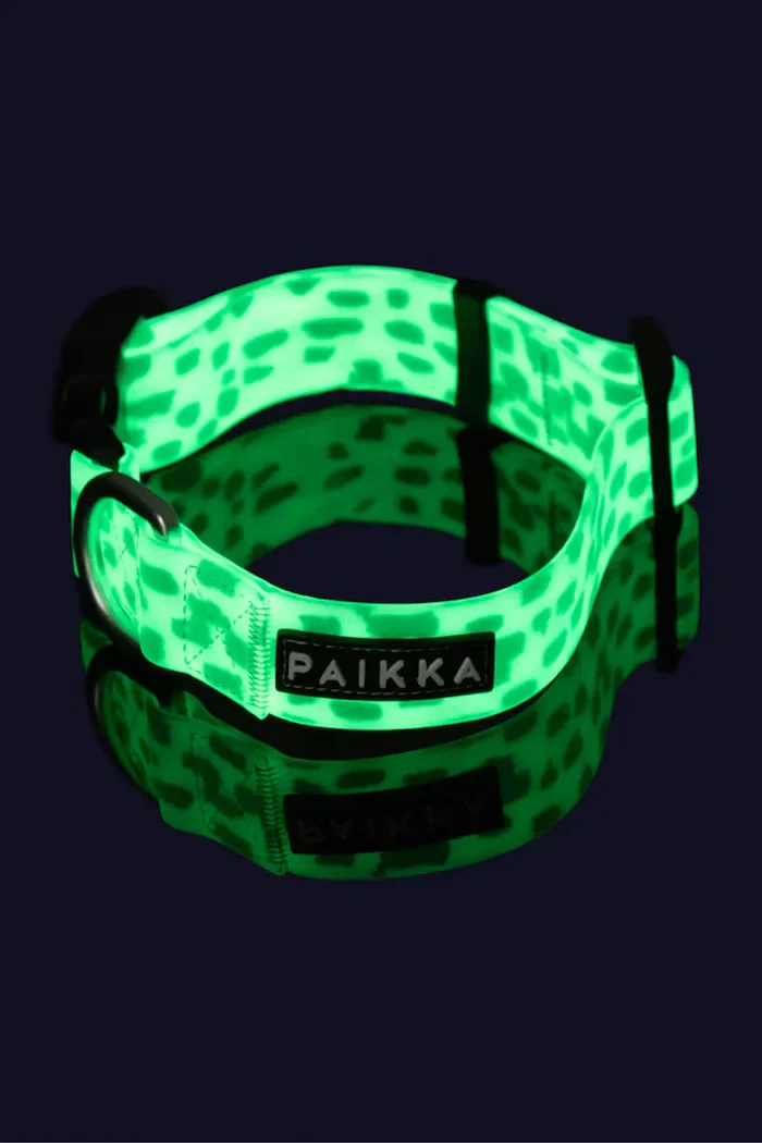 paikka каишка за куче 15 x 23-30 cm 1039033