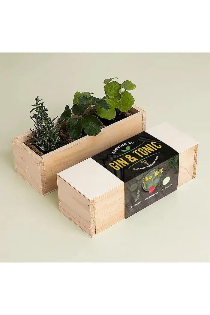 resetea Комплект за отглеждане на растения Gin Tonic Growing Kit 21 x 78 x 65 cm