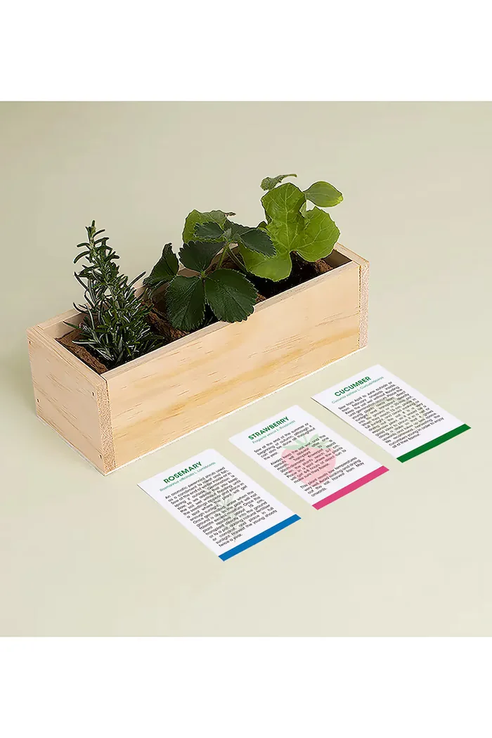 resetea Комплект за отглеждане на растения Gin Tonic Growing Kit 21 x 78 x 65 cm