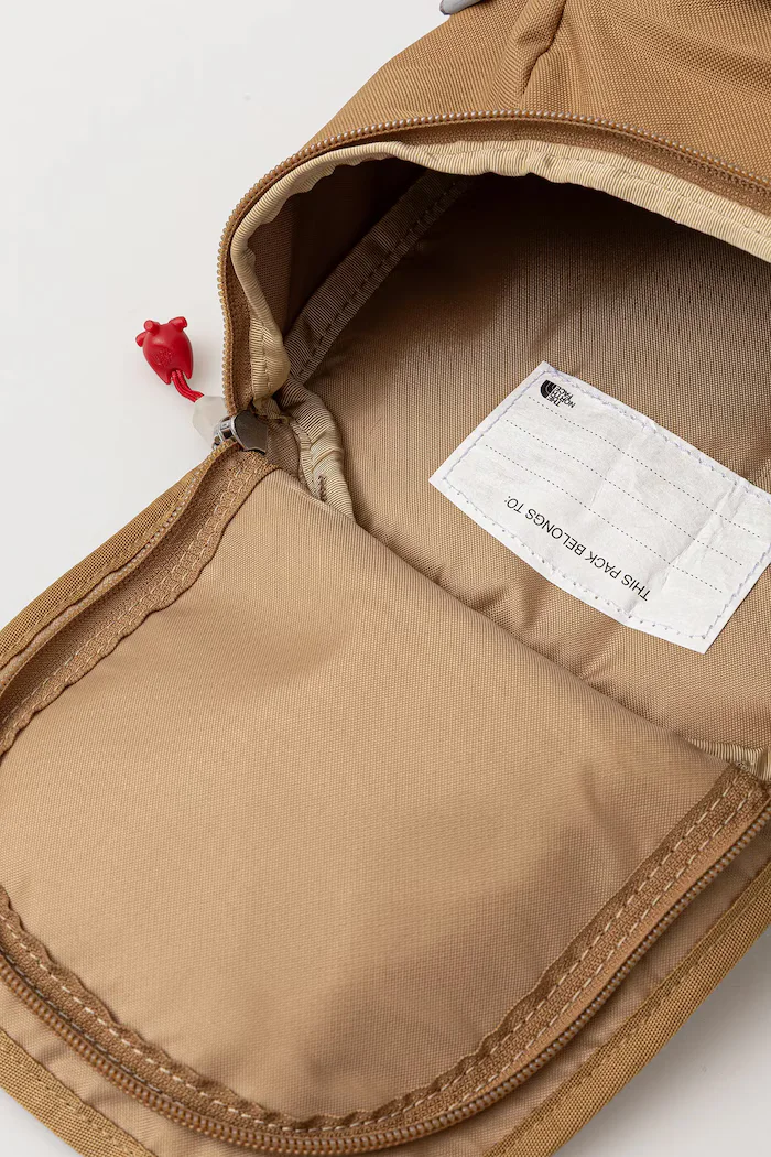 The North Face Раница Y MINI EXPLORER в зелено малък размер с изчистен дизайн NF0A52VWBQ81