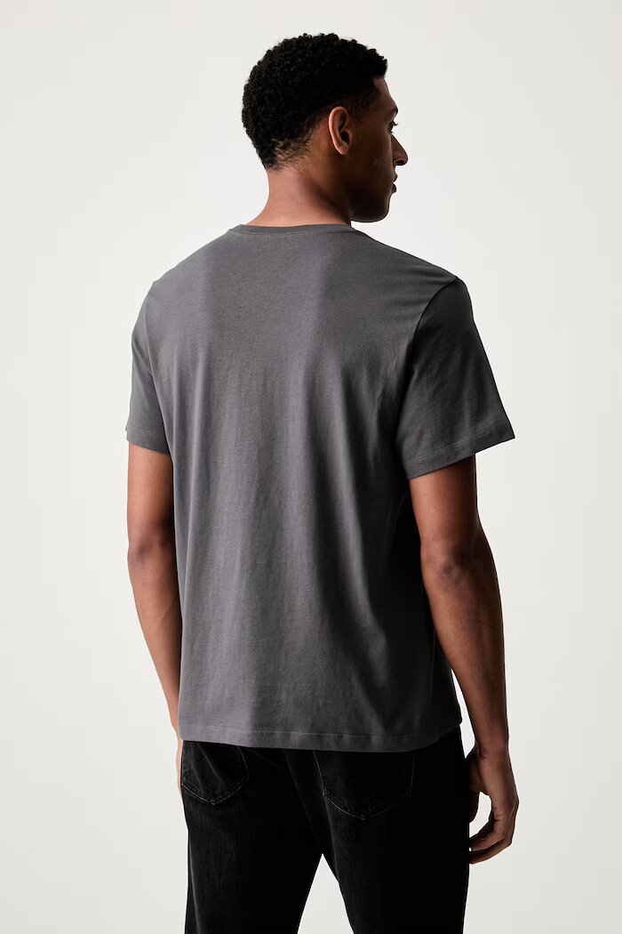 The North Face тениска мъжка от памук Essential Center Logo сива NF0A8GQERHI1