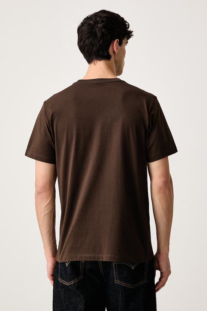 The North Face тениска мъжка с памук Simple Dome кафява NF0A8CZ2NMF1