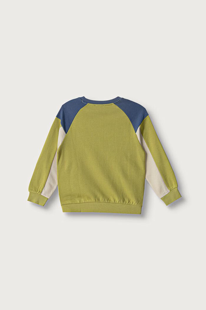 United Colors of Benetton суичър за деца от памук зелен 3J70G10NM