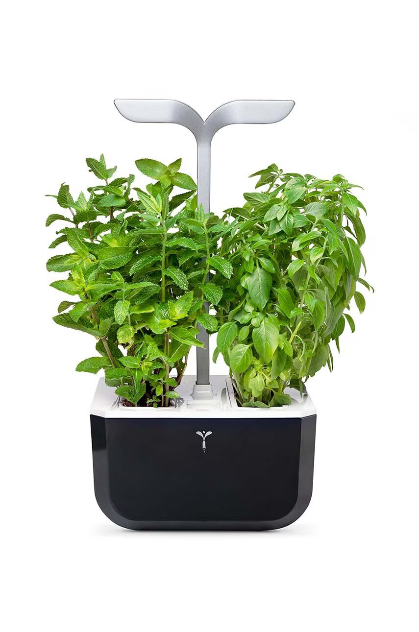 Veritable Автономна домашна градина Exky Smart 20 × 18 cm