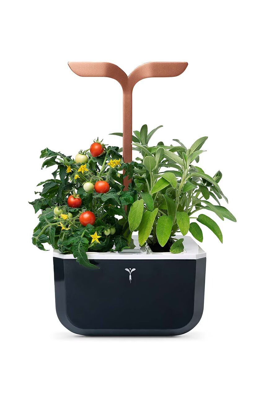 Veritable Автономна домашна градина Exky Smart 20 × 18 x 37 cm
