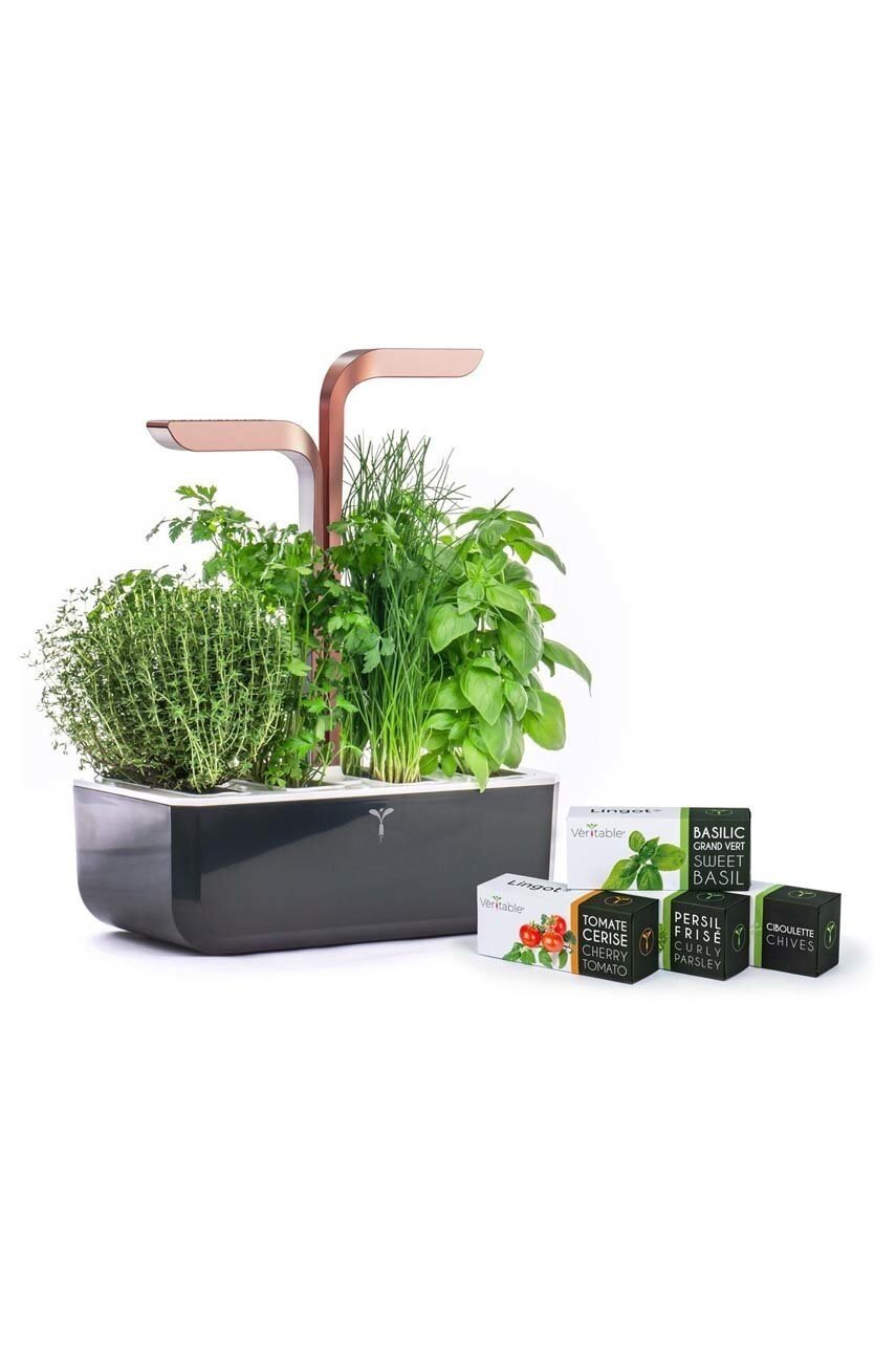 Veritable Автономна домашна градина Smart 33 × 185 x 45 cm