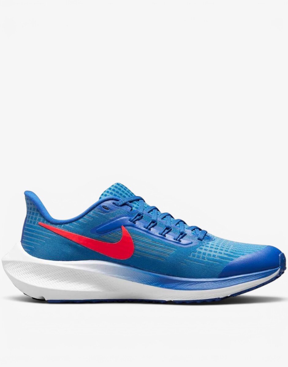 Nike AirZoom Pegasus 39 W Shoes Blue