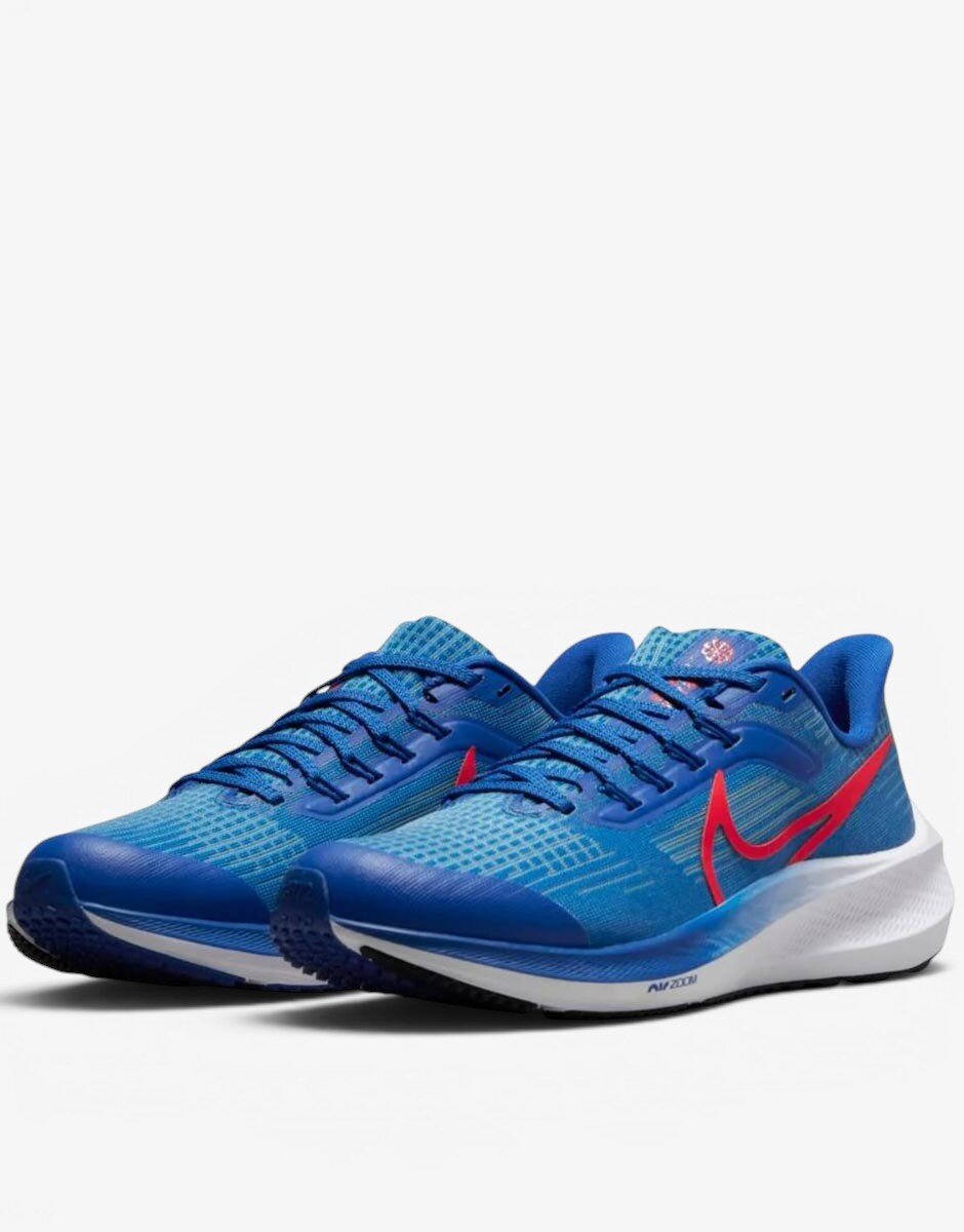 Nike AirZoom Pegasus 39 W Shoes Blue