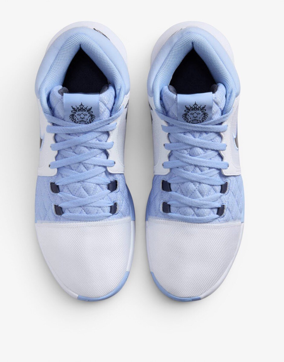 Nike x LeBron Witness 8 White/Blue
