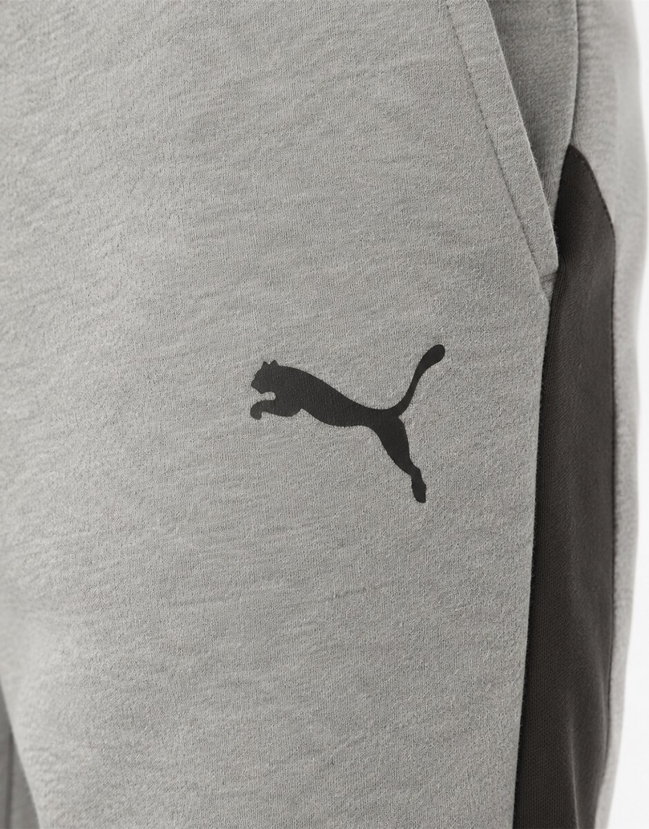 Puma Evostripe Core Pants Gray/Black