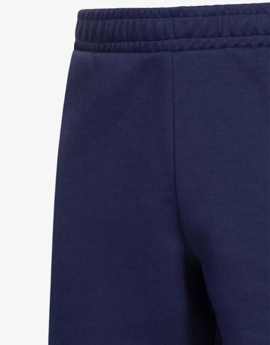 Puma EvoTec Shorts Blue
