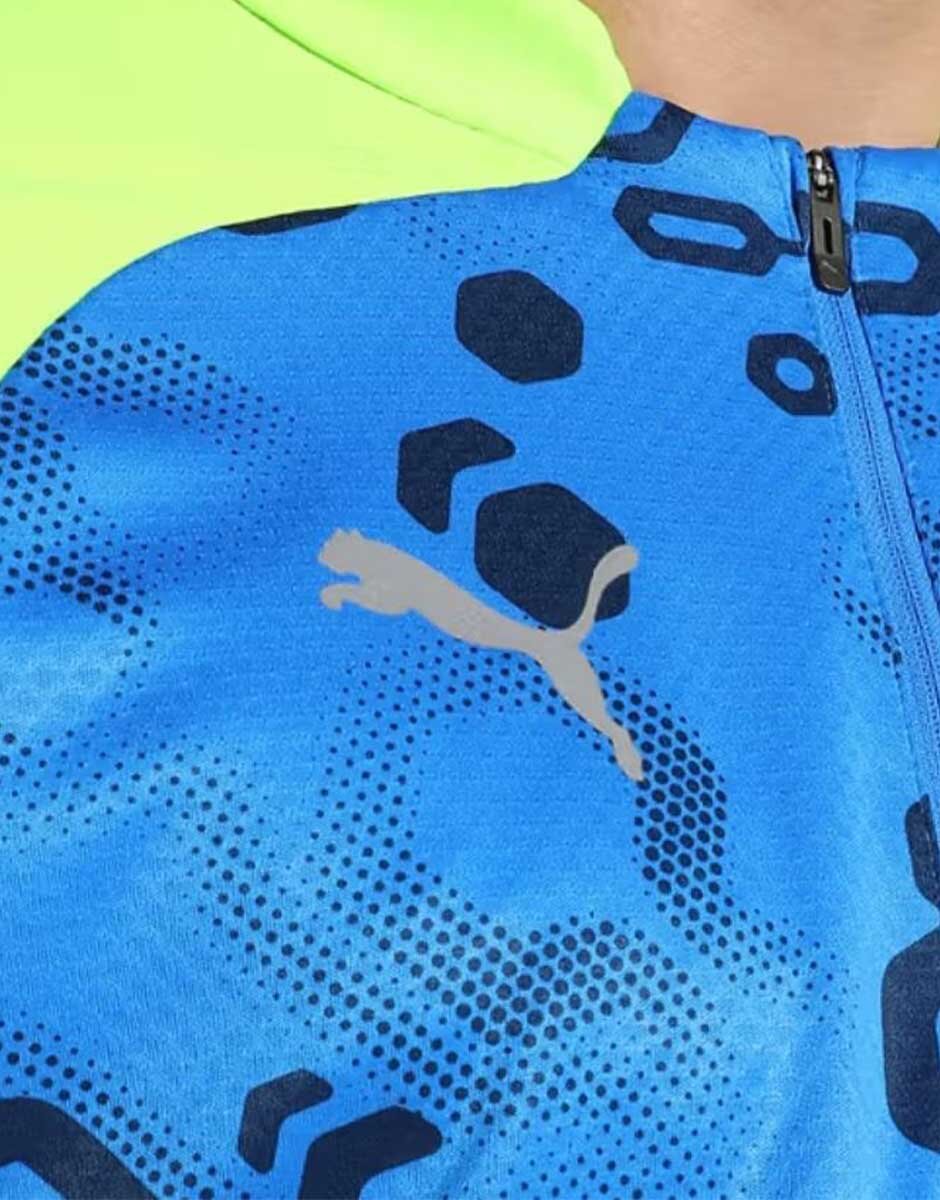 Puma IndividualCup Football Quarter-Zip Top Blue