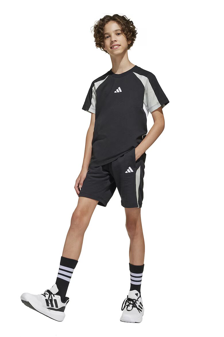 adidas Sportswear Шорти с памук и лого Черен/Светло сив