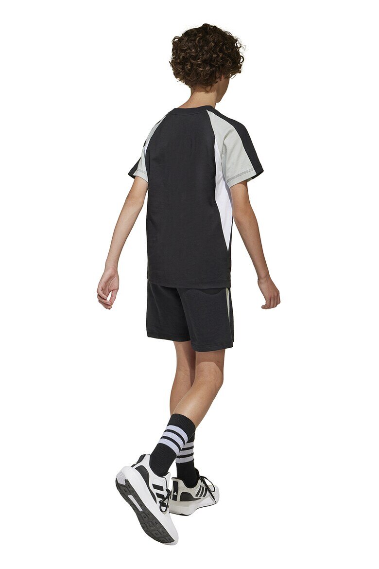 adidas Sportswear Шорти с памук и лого Черен/Светло сив