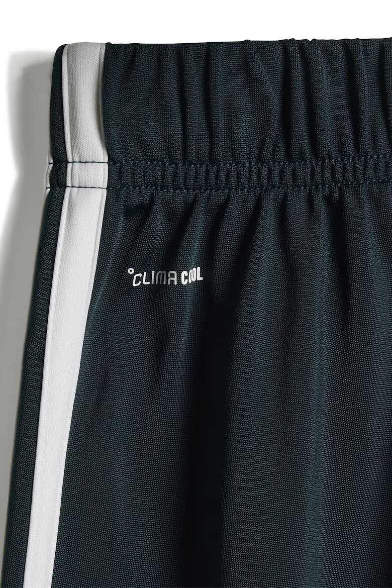 adidas Sportswear Спортен екип Essentials Climacool с цип Бял/Тъмнозелен/Персийско зелено