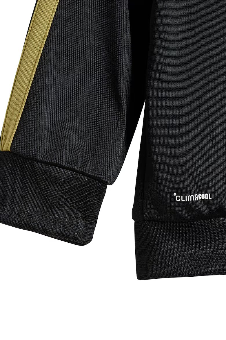 adidas Sportswear Спортен екип Essentials Climacool с цип Златист/Черен
