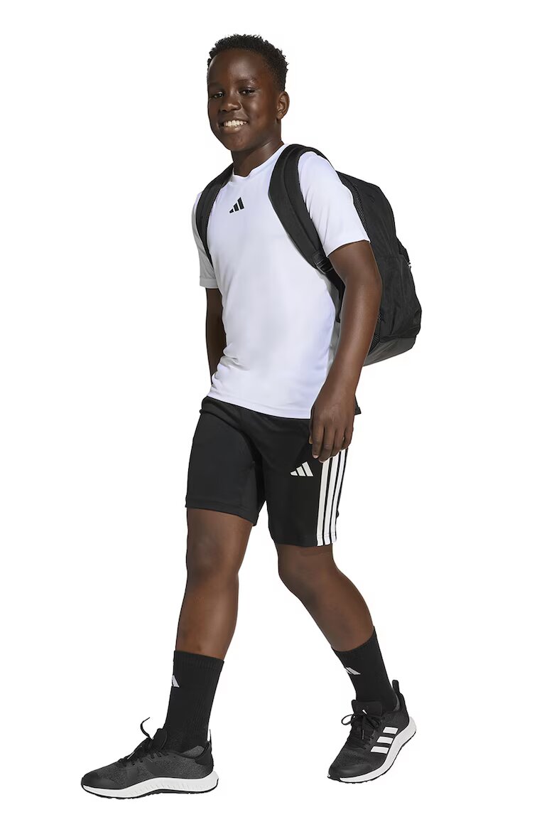 adidas Sportswear Тениска и шорти