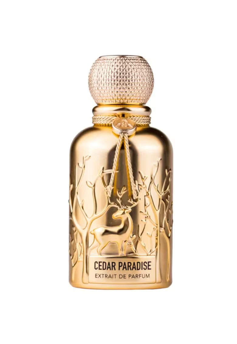 Auraa Desire Cedar Paradise екстракт от парфюм - мъже - 100 мл