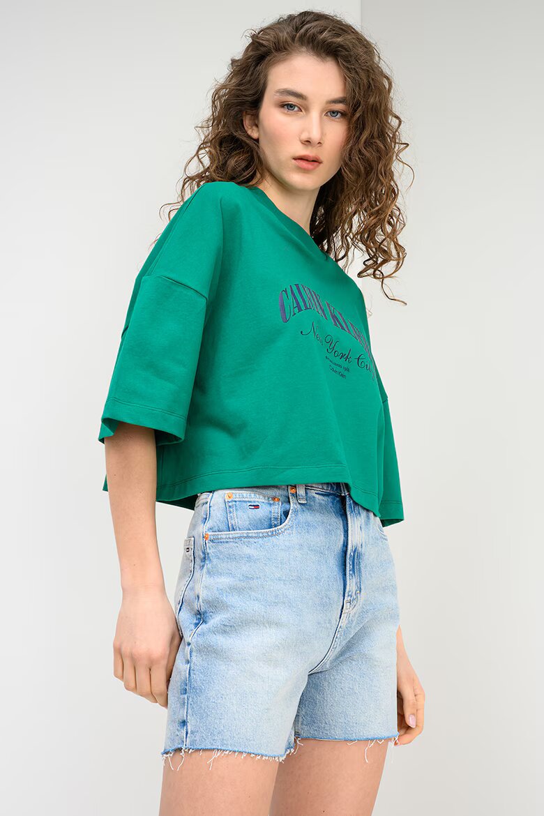 CALVIN KLEIN JEANS Къса тениска с лого Зелен/Ултрамарин синьо