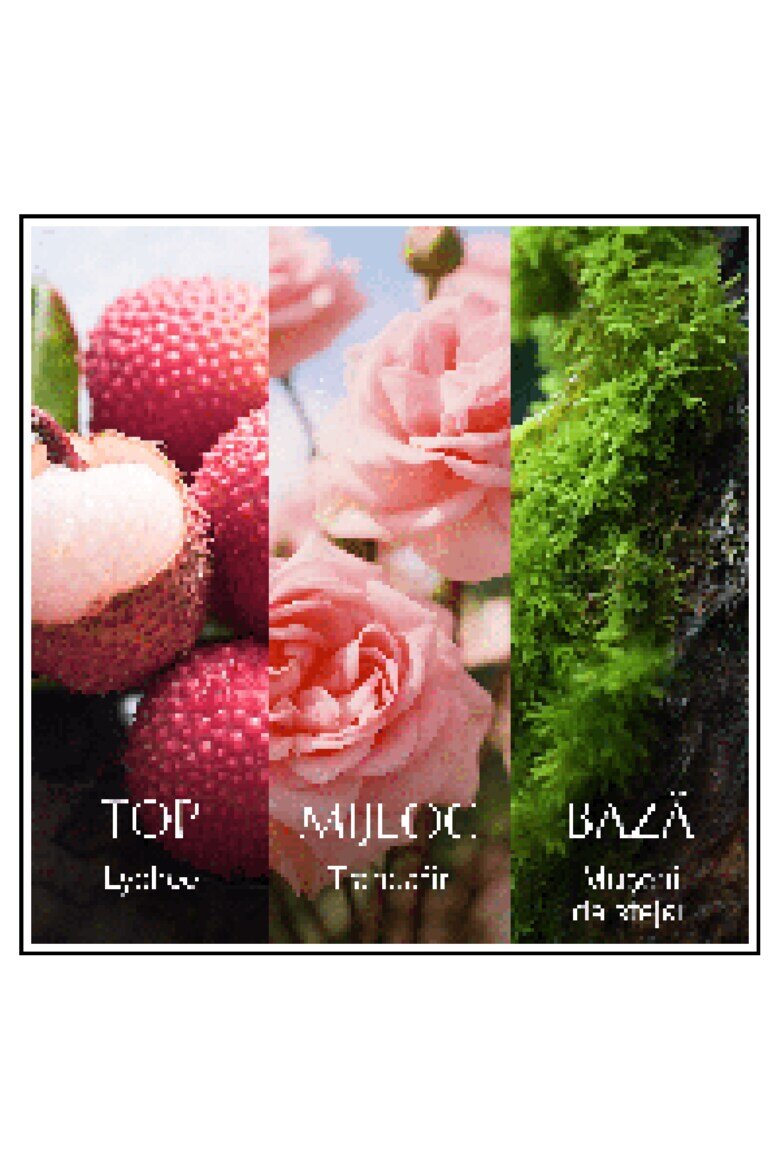 Chanson D'Eau Тоалетна вода Rose 100 мл